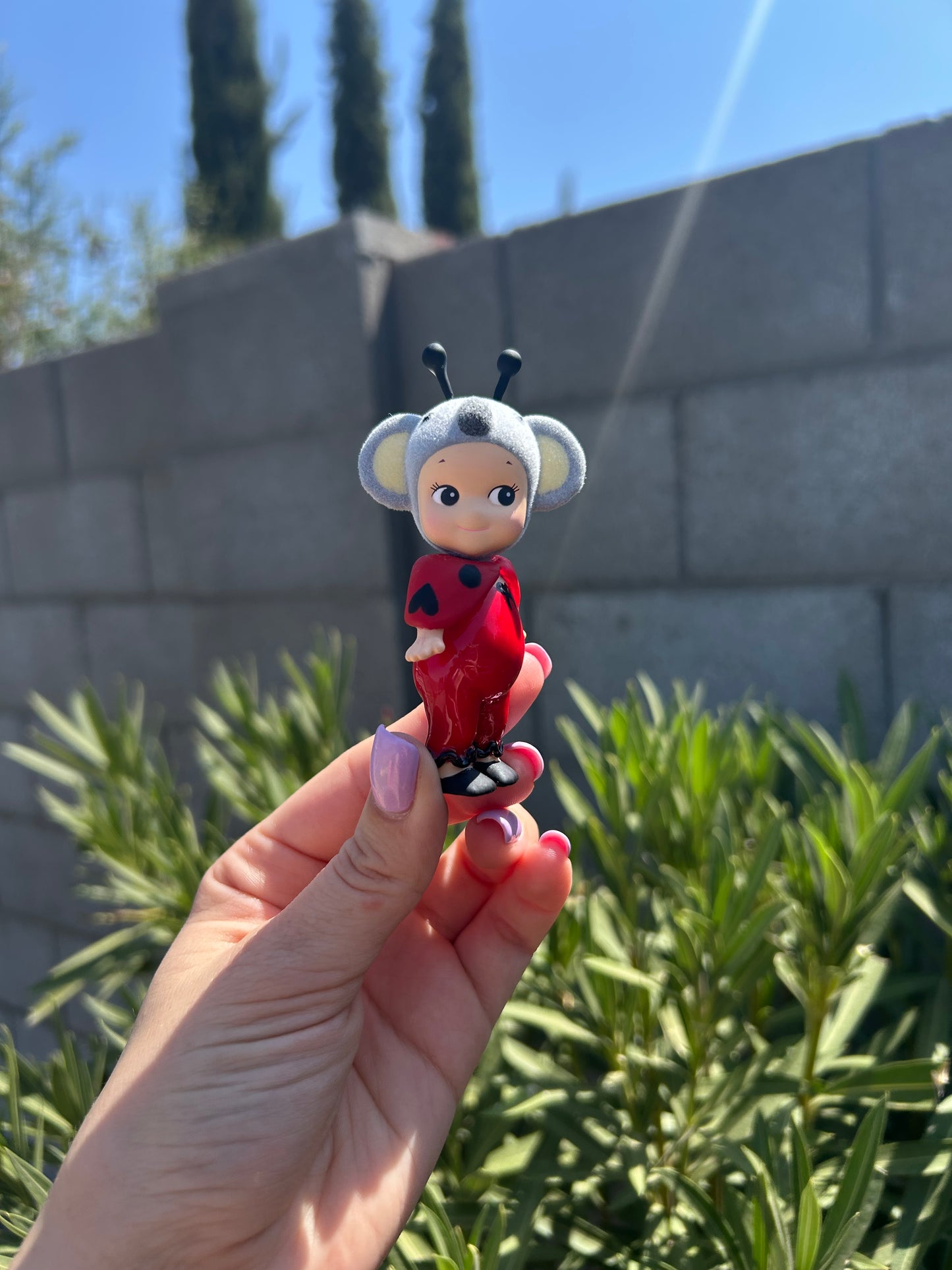 Ladybug Koala