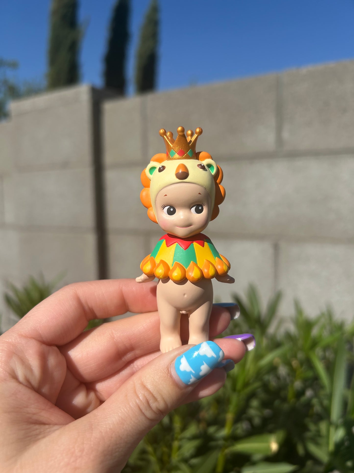 Circus Lion