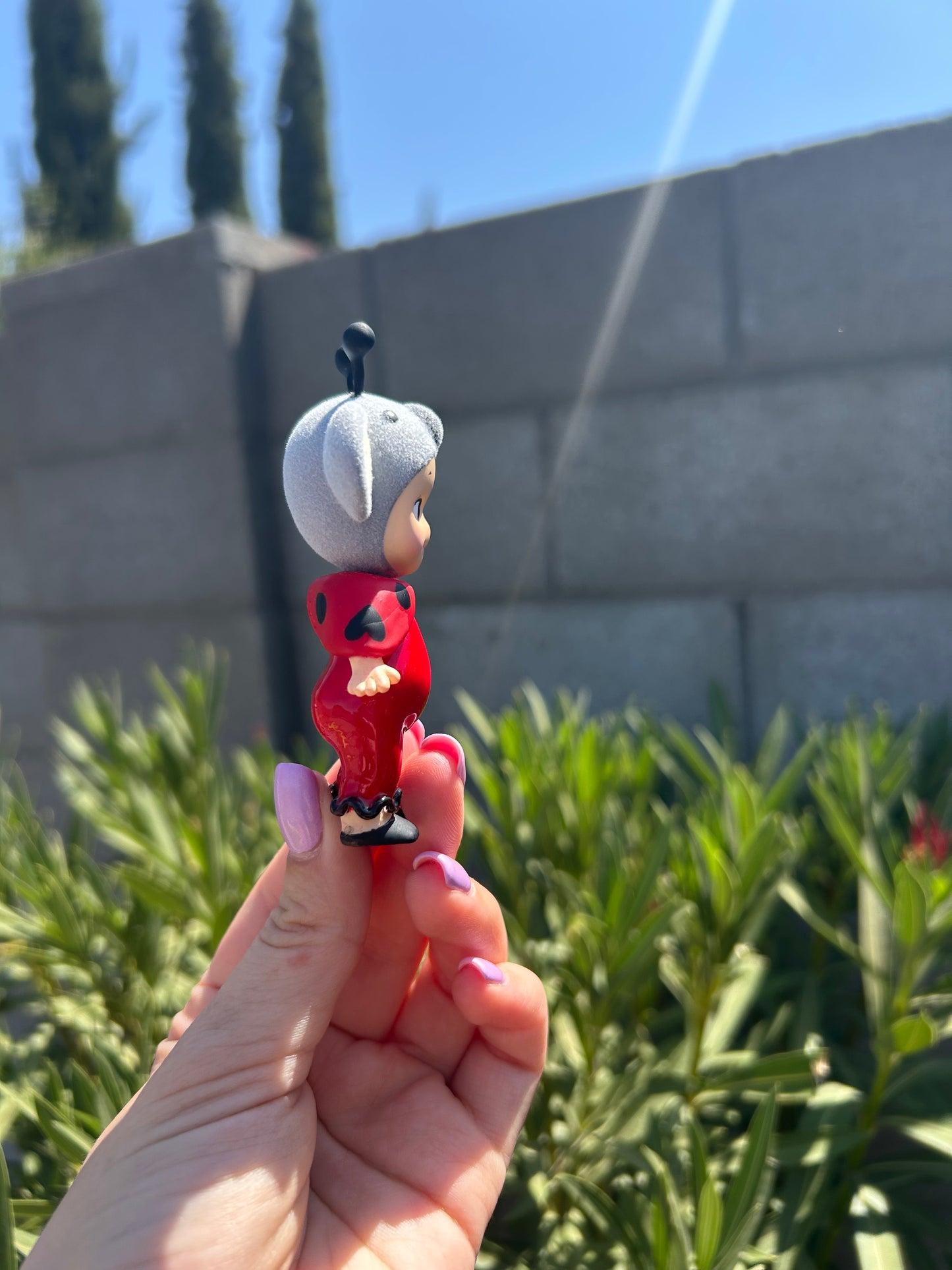 Ladybug Koala