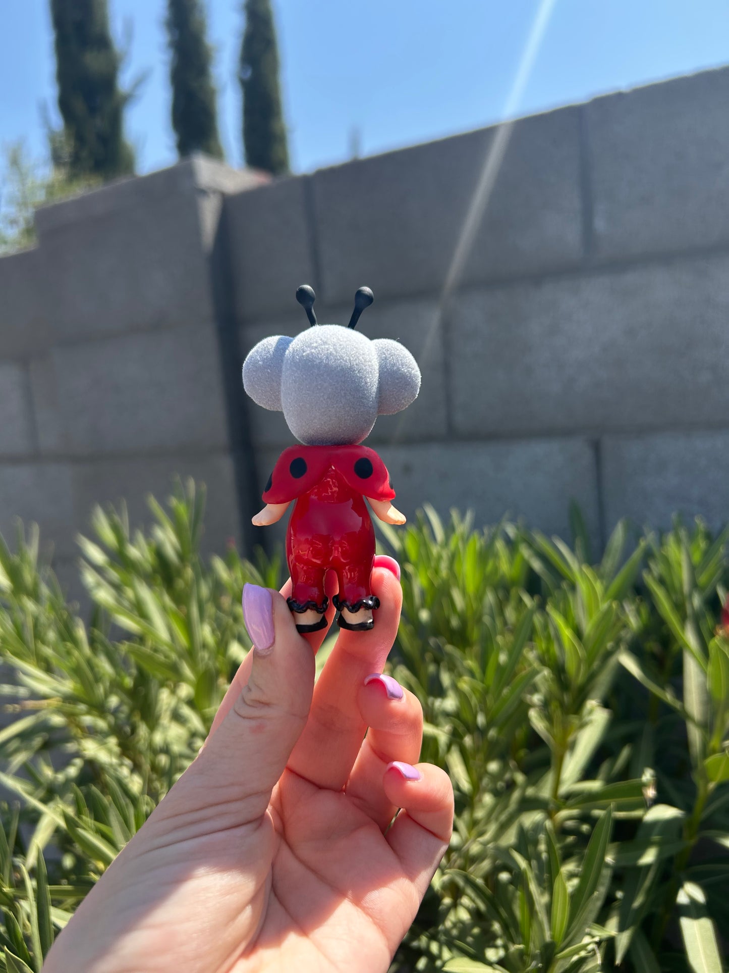 Ladybug Koala