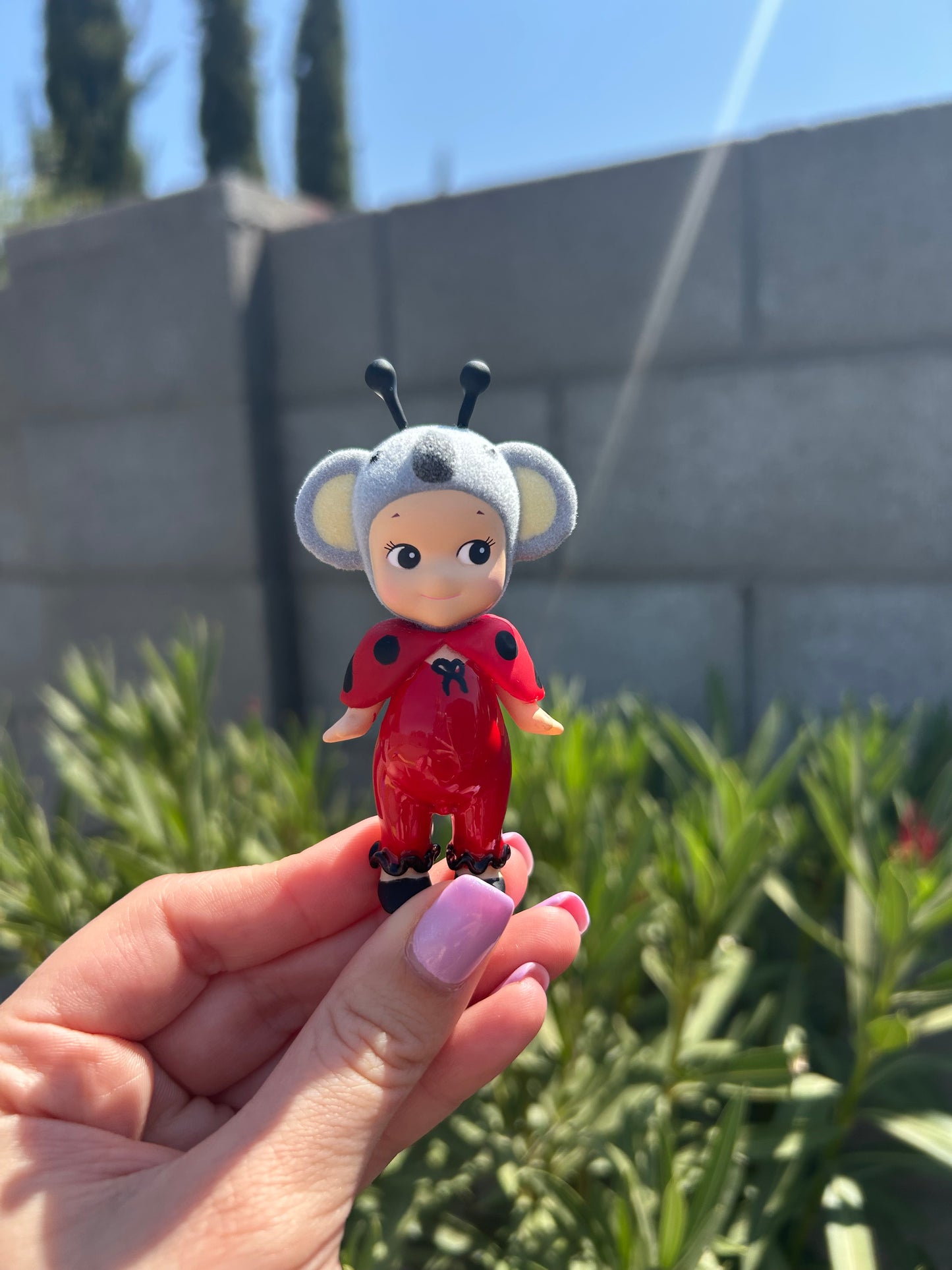 Ladybug Koala